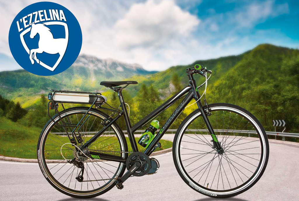 bici-a-motore-1